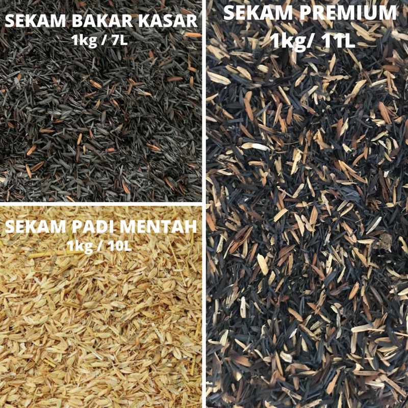 Sekam Padi Bakar /Sekam Padi Mentah/ Sekam Premium/Burned Rice Husk Ash ...