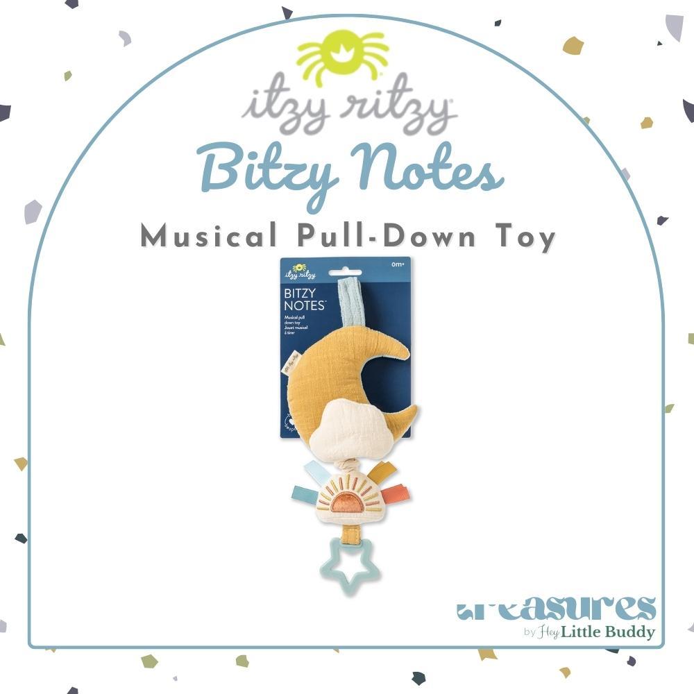 Itzy Ritzy Baby Musical Pull-Down Toy Bitzy Notes Car Seat Stroller ...