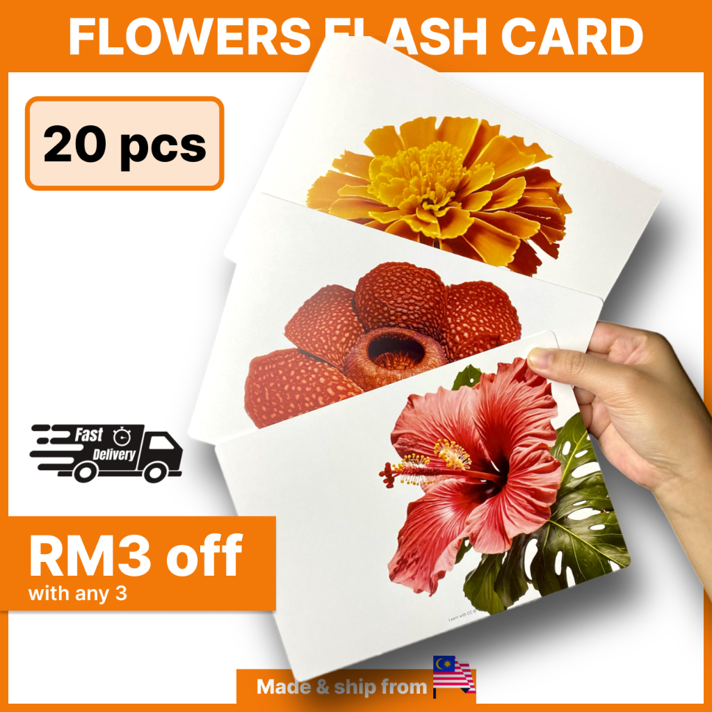 Flowers Flash Cards for Kids, Baby, Big Flash Card, Flashcard ...