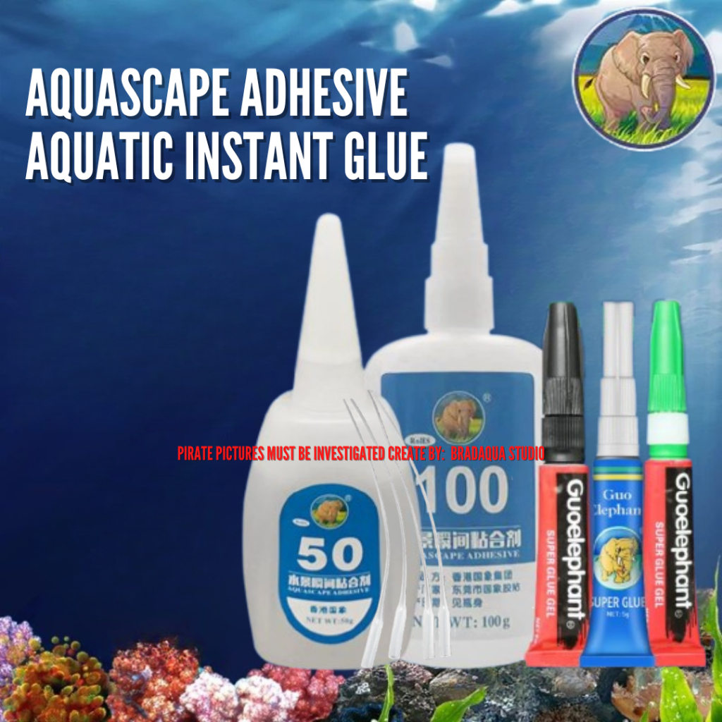 GUO ELEPHANT Aquascape Adhesive Aquatic Glue Plants Grass Adhesive Fish