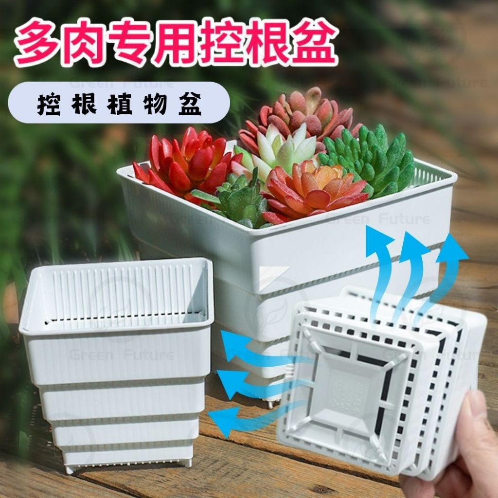 [READY STOCK]养多肉植物神器 多肉盆 仙人掌盆 多肉植物盆 MESHPOT 控根花盆 SUCCULENTS POT CASTUS ...