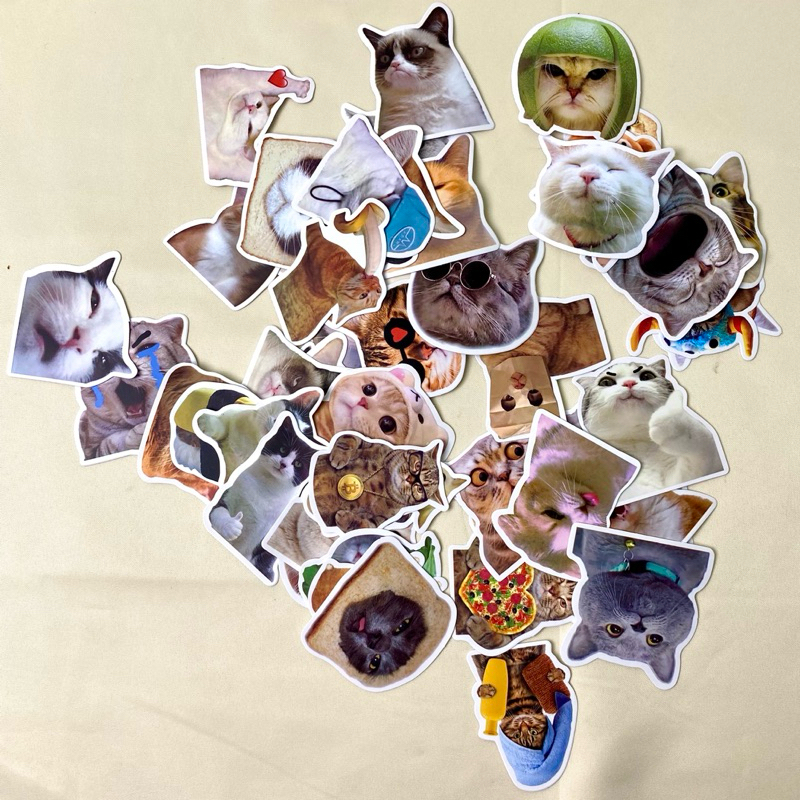 [50 PCS] A Cute Kittens Cats MEME Waterproof Stickers For Notebook ...
