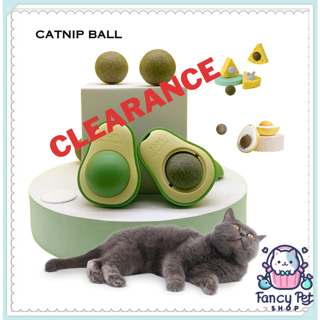 Ready Stock Catnip Ball Avocado mint ball cat toy cat treat Shopee