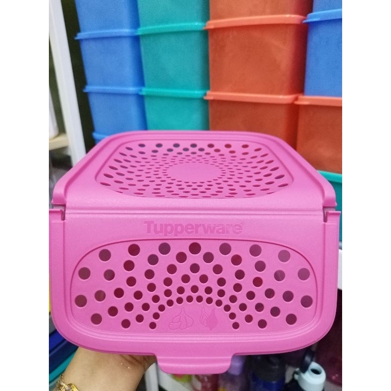 Tupperware Garlic Keeper L Pcs Shopee Malaysia