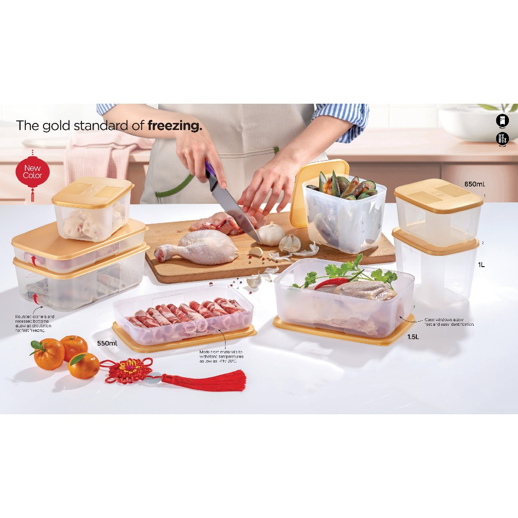 TUPPERWARE FREEZER MATES PLUS SNOWFLAKE STORAGE CONTAINER MED SHALLOW – Plastic Glass And Wax ~ PGW