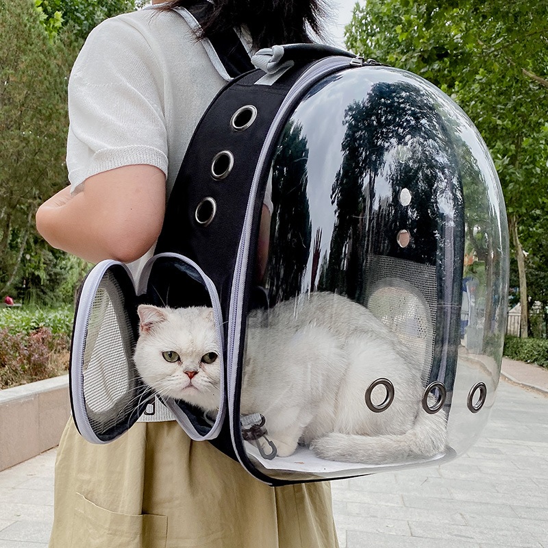 Travel bag kucing murah top