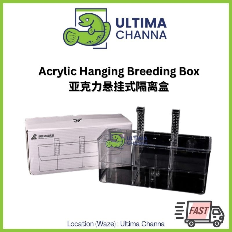 Transparent Acrylic Breeding Box/ Quarantine Box with separators for