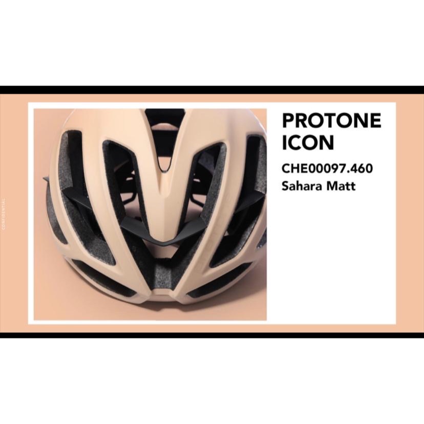KASK Protone ICON WG11 Cycling Helmet (2024 New)(made in Italy