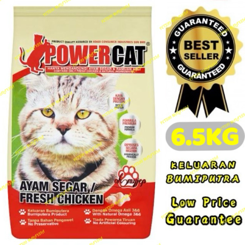 Powercat kitten hotsell