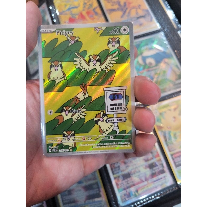 207/197 pokemon card Pidgey 207/197 - Obsidian Flames | Pokémon Custom Extended Artwork Display  Case – TCG.Store