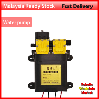 12v high pressure double head water pump