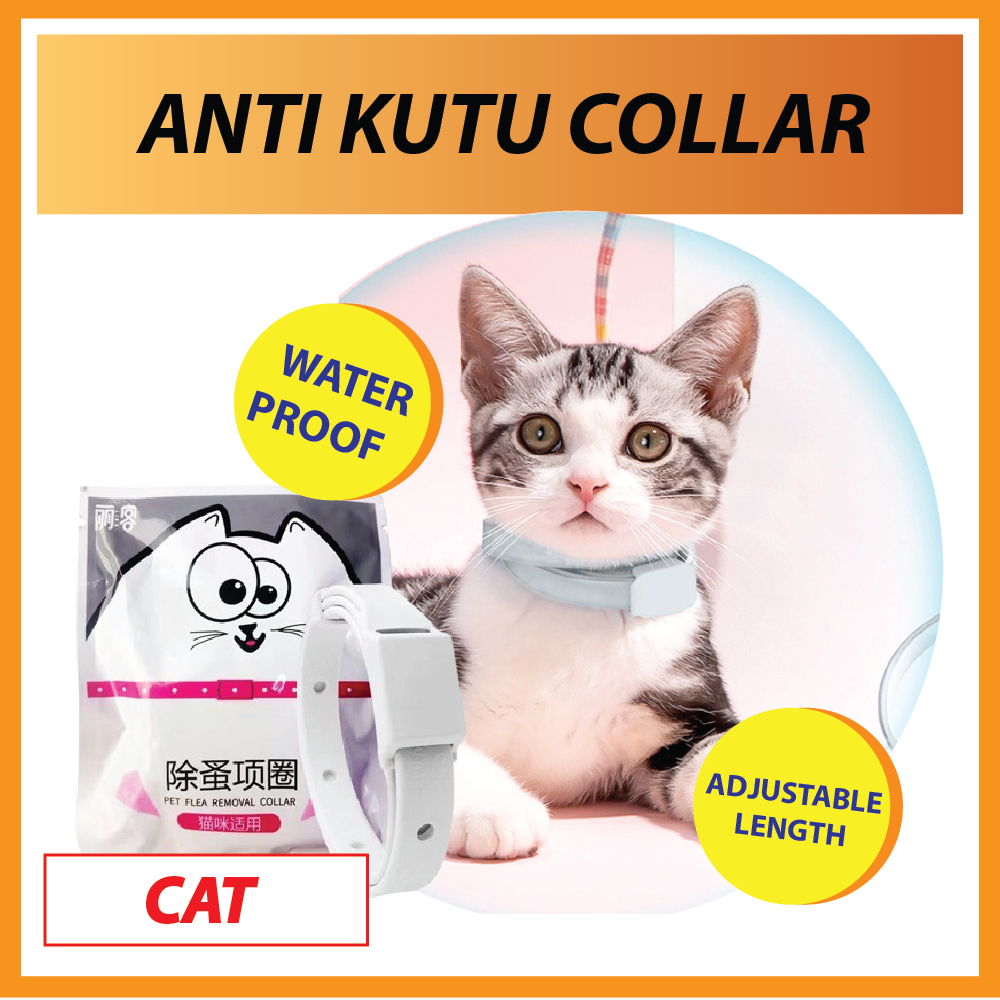 Anti Kutu Gray Flea Collar Cat Flea Anti Flea And Tick Collar