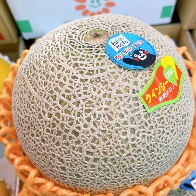 [MOST LUXURY/極品] Japan Kumamoto Quincy Melon Seeds/Benih 5 pcs [極品