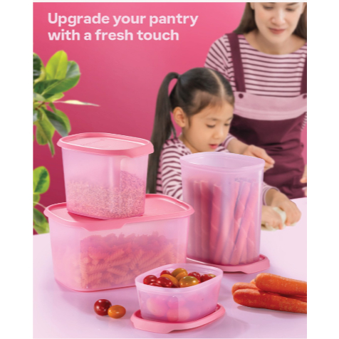 Tupperware One Touch Fresh Basic Set / Oval 540ml / 1.1L