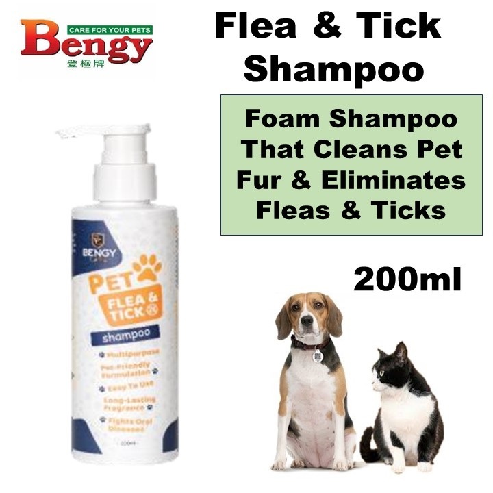 Flea shampoo tesco hotsell