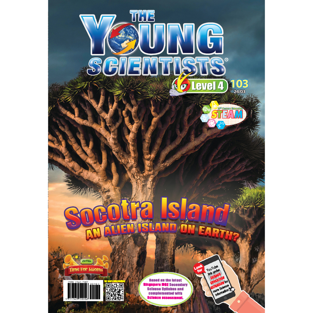シンガポール雑誌　young scientists level 4 10冊 2023 Young Scientists Collectors' Set [Level 4] – Young