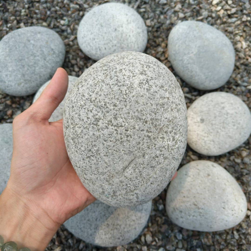 GPS Green Plant Society Decorative White Grey Pebble Stone Rock 白灰色 鹅卵石 ...