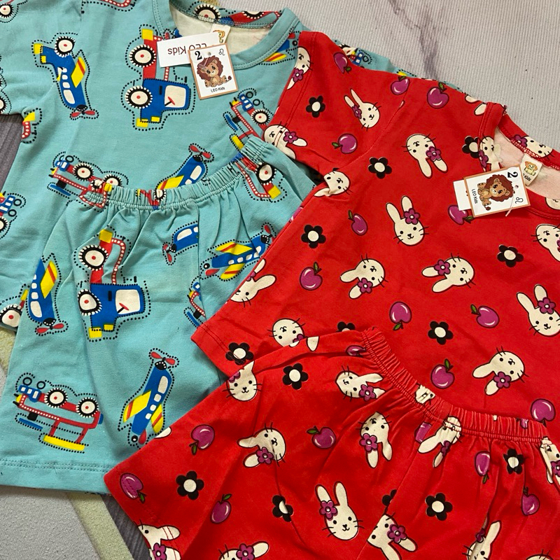 Armenian Baby Bodysuit - "Everyone Loves A Nice Armenian Boy" Cotton Onesie 18 Months Light Blue