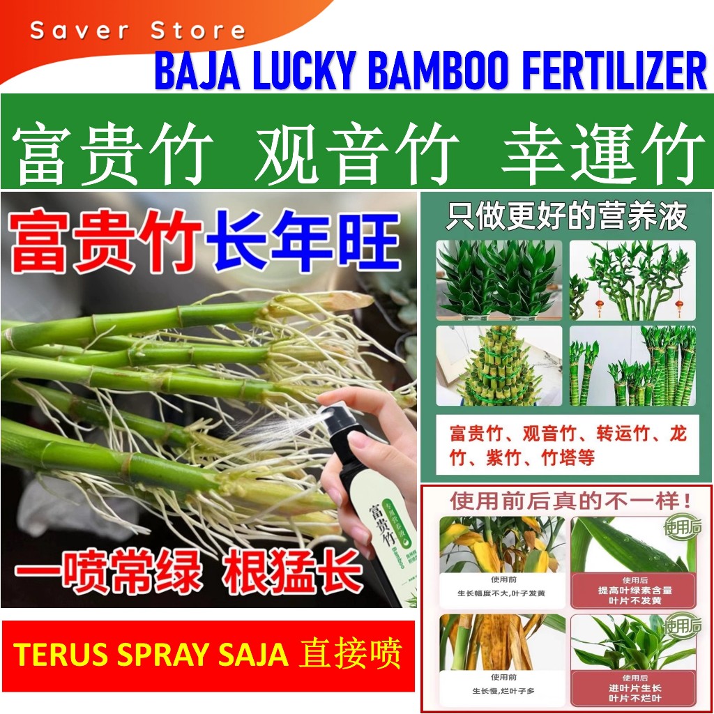 Lucky Bamboo Lotus Bamboo 富贵竹营养液 富贵竹肥料 观音竹 幸運竹营养液 女王竹 万年竹 开运竹 转运竹 荷花竹 ...