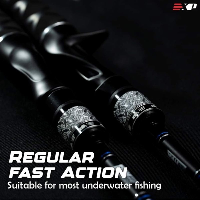 EXPVTRIDENT CASTING ROD ENVISION XPERT PRO | Shopee Malaysia