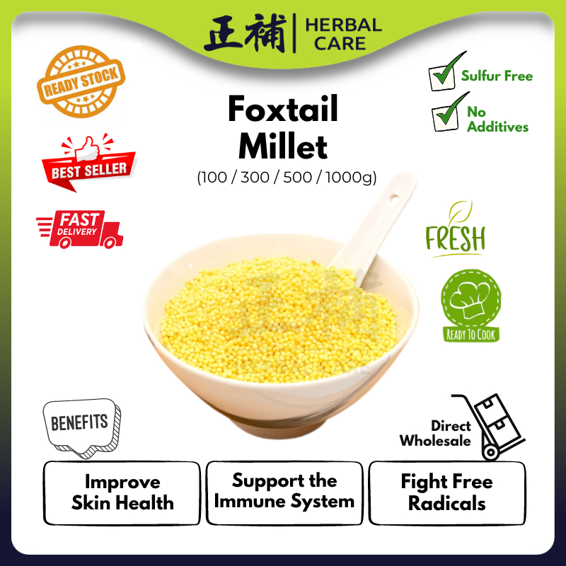 Foxtail Millet 小米 小黄米 粟米 粱 Bijirin Milet Sekoi Jawawut Jewawut Millet ...