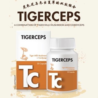 Tigerceps Tiger Milk Mushroom + Cordyceps 30s | Shopee Malaysia