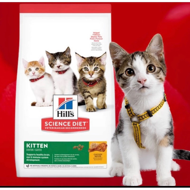 Hills Science Diet Kitten Chicken KUCING IBU ANAK CAT FOOD