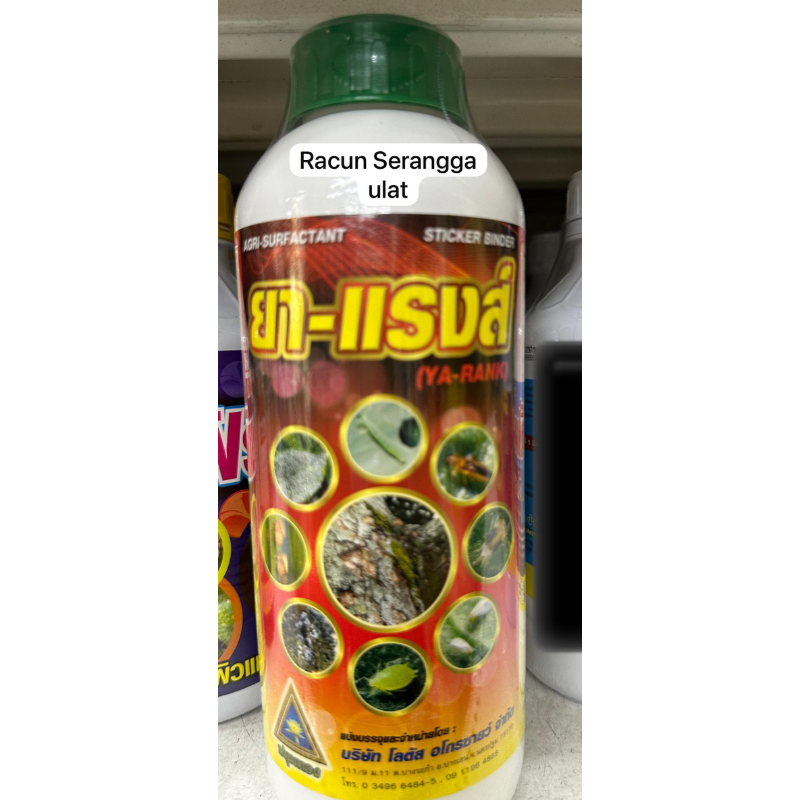 Racun serangga perosak seperti lumut di batang pokok | Shopee Malaysia