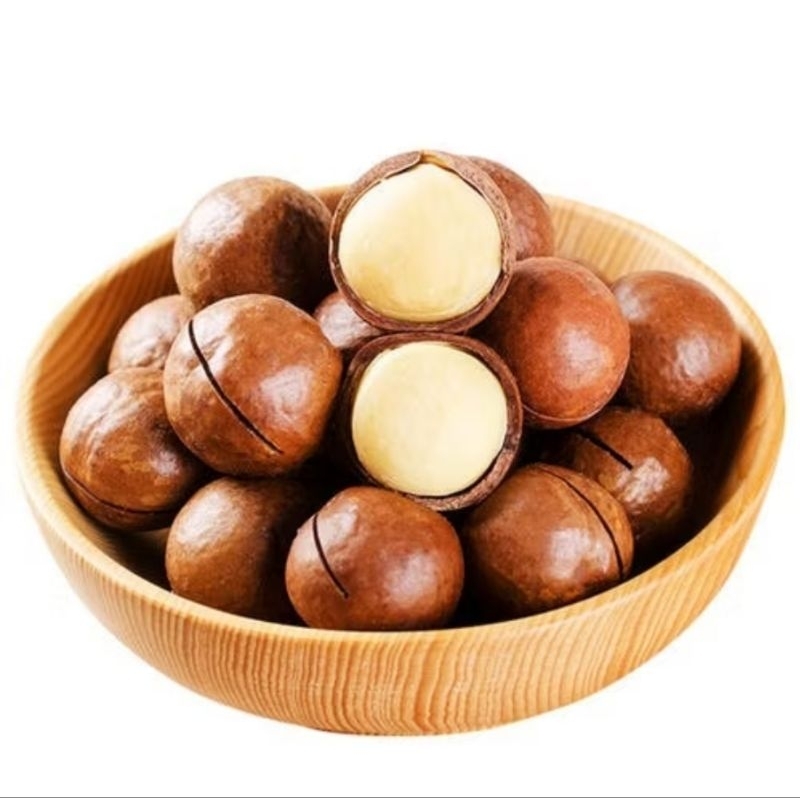 Premium Imported Roasted Macadamia In Shell / Kacang Macadamia (1kg ...