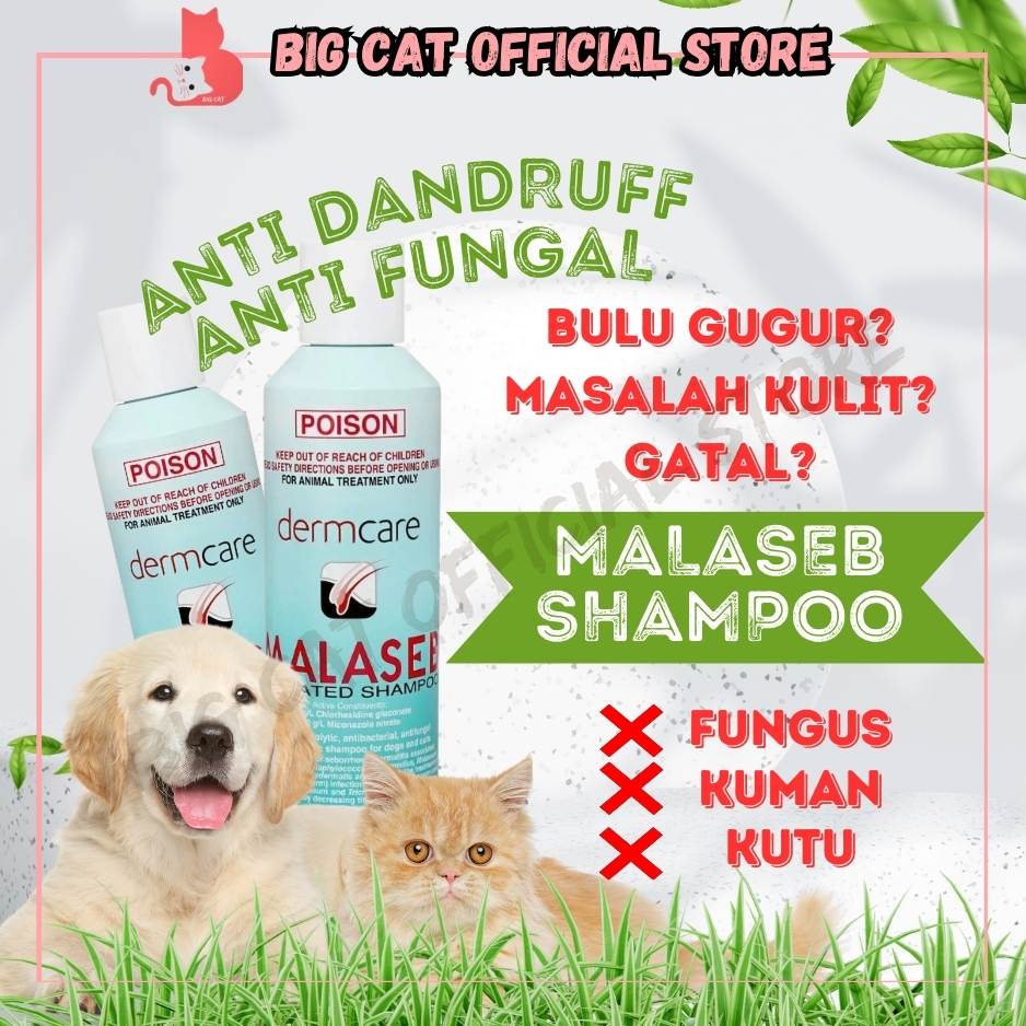 Dermcare Malaseb Medicated Shampoo 250ML Anti-Bacteria Anti-Fungal Anti ...