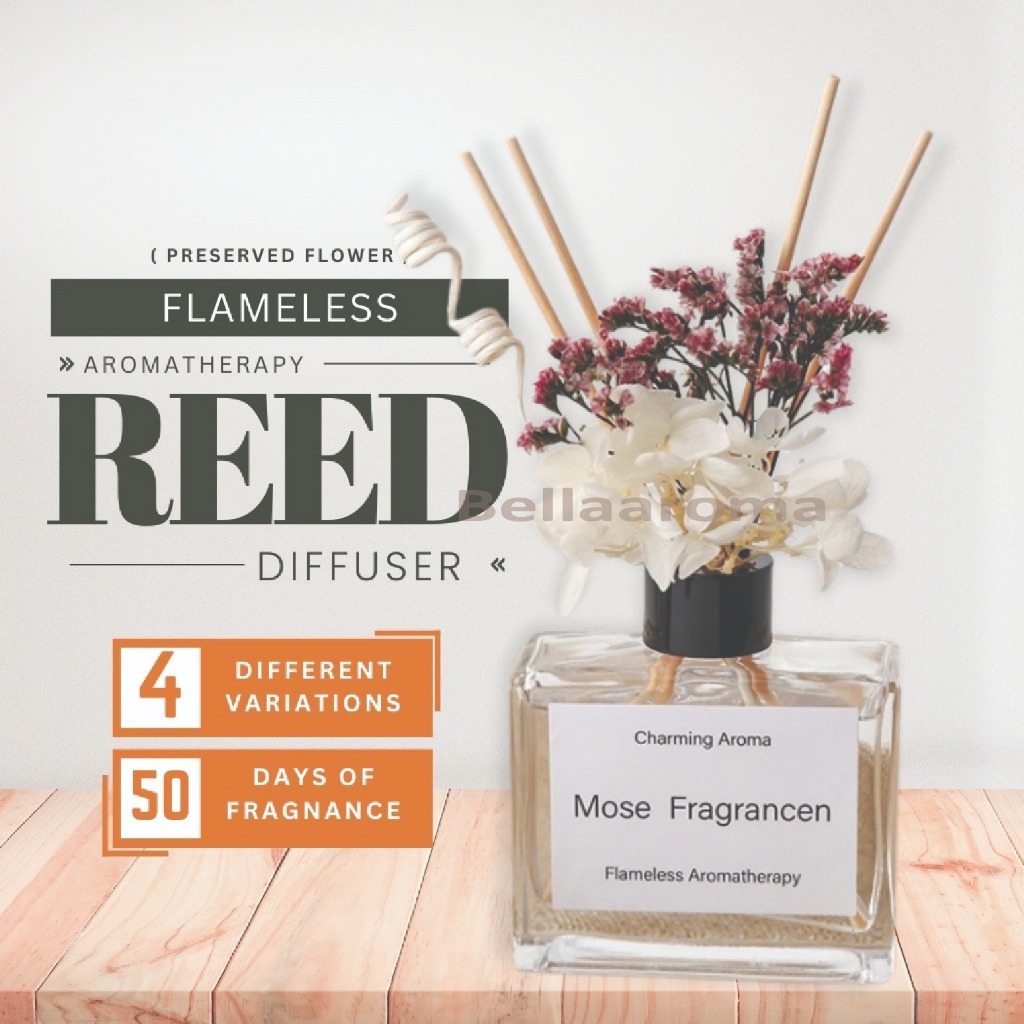 Aromatherapy Reed Diffuser Home Fragrance Air Refresher Room Home ...
