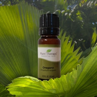 Plant Therapy Eucalyptus Globulus Organic Essential Oil 10 ml