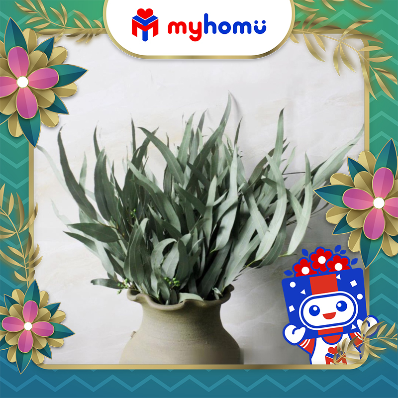 Dried Millet Leaves Pampas Decoration Leaves Shopee Malaysia