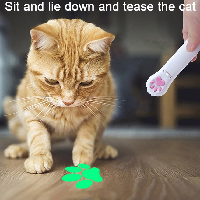 🐱 Interactive Cat Toy LED Projection Pen Light Pointer USB Rechargeable ...