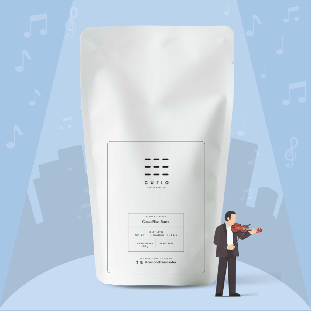 The Musician Series [Costa RicaBach] Single Origin Light Roast by