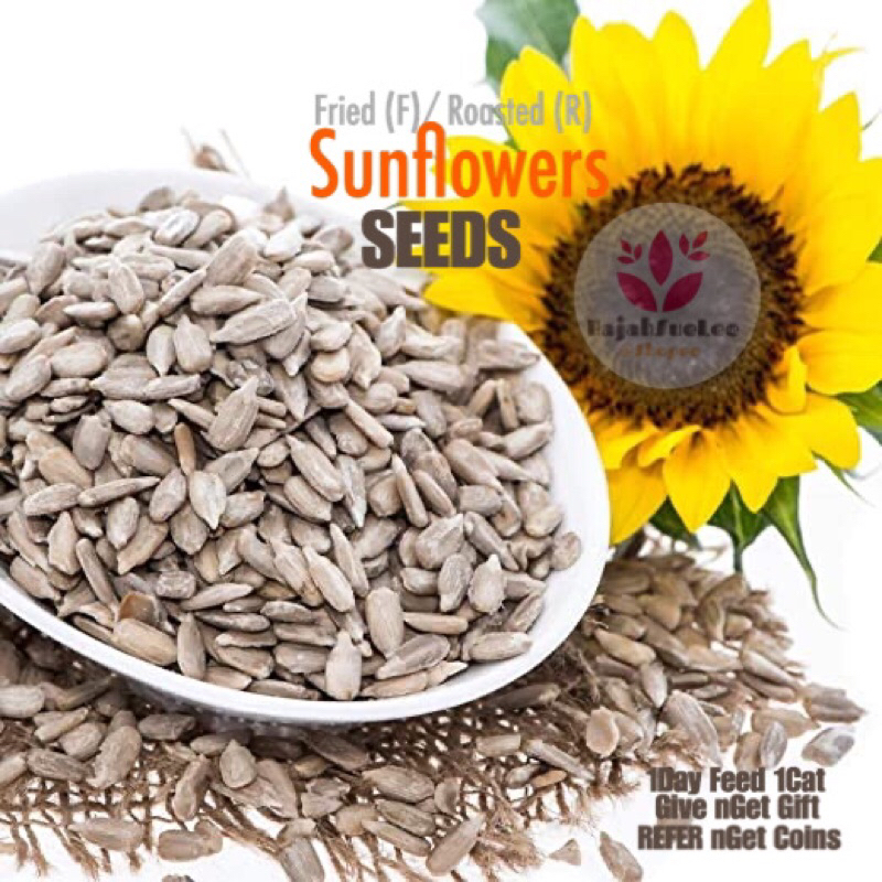[MyHome Café Collection ~ Sunflowers 🌻 Seeds/ Kuaci/Guazi] Fried ...