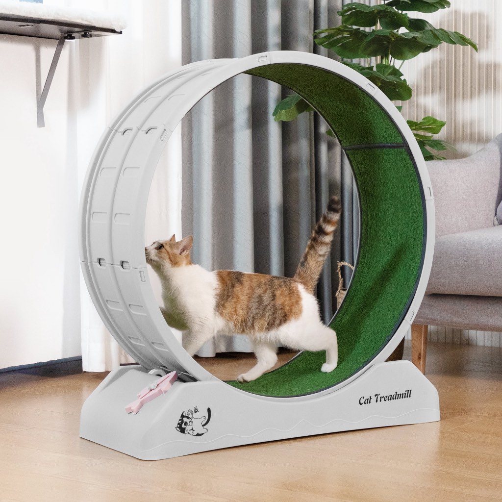 Cat Treadmill Indoor, Cat Exercise Wheel with Locking Mechanism, Silent
