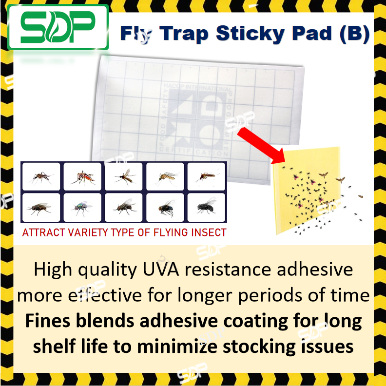 Big Size 420 X 240mm Insect Fly Trap Premium Quality Sticky Pad ...