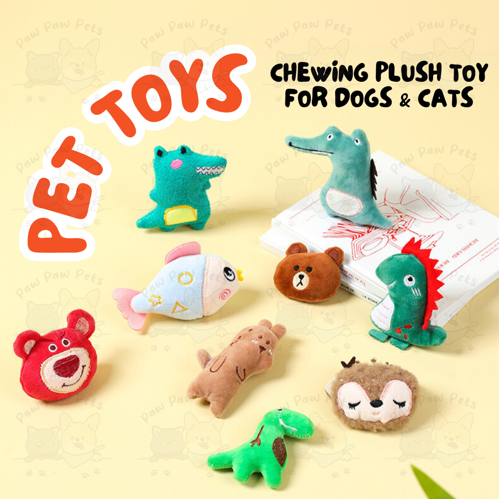 Paw 2024 pets toys