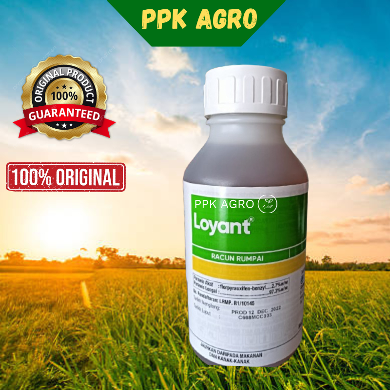 500ml LOYANT RACUN RUMPAI PADI PASCA CAMBAH (SAMBAU/KELADI AGAS/CABAI ...