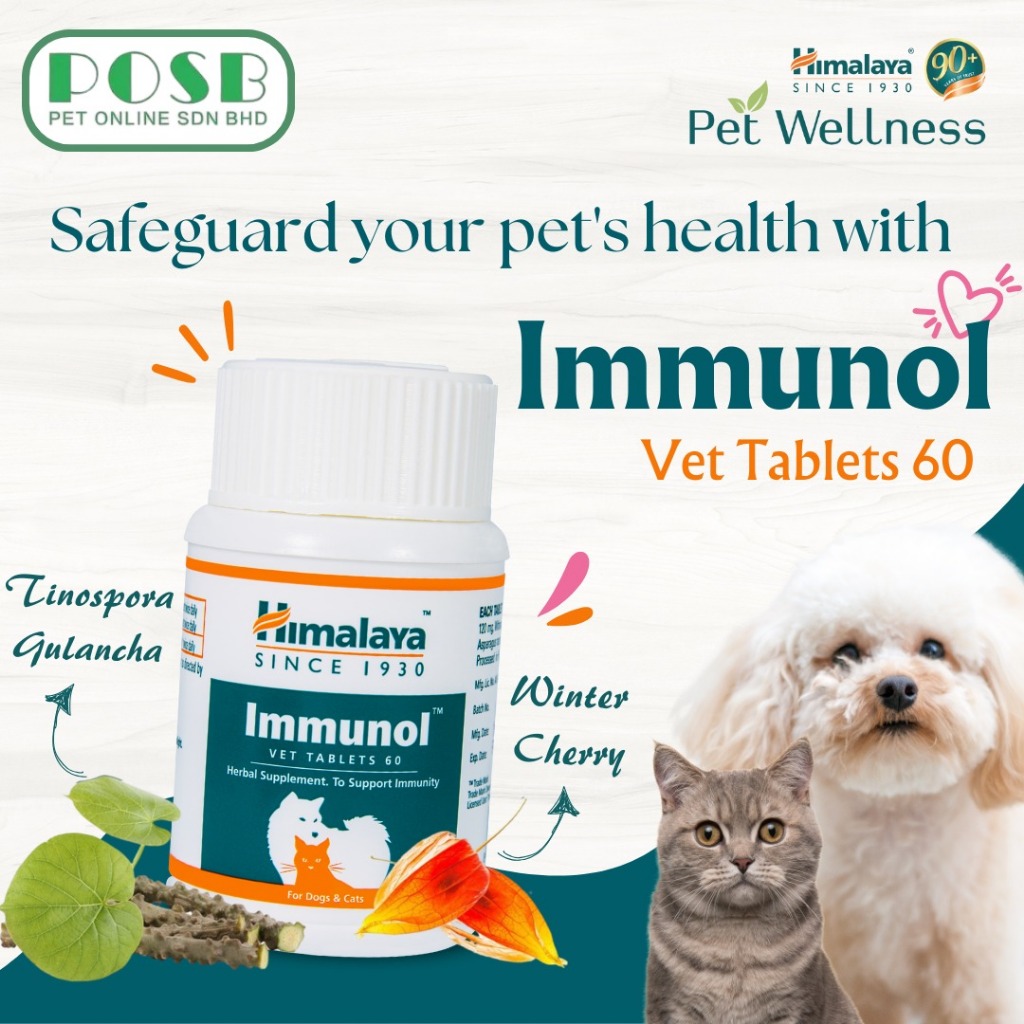 Himalaya Immunol Vet Tablets 60 for Cats and Dogs / Tablet Immunol Vet ...