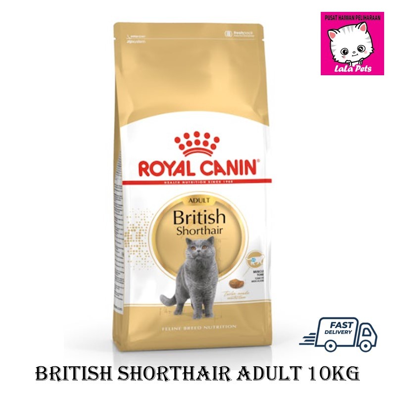 Royal Canin 10kg British Shorthair