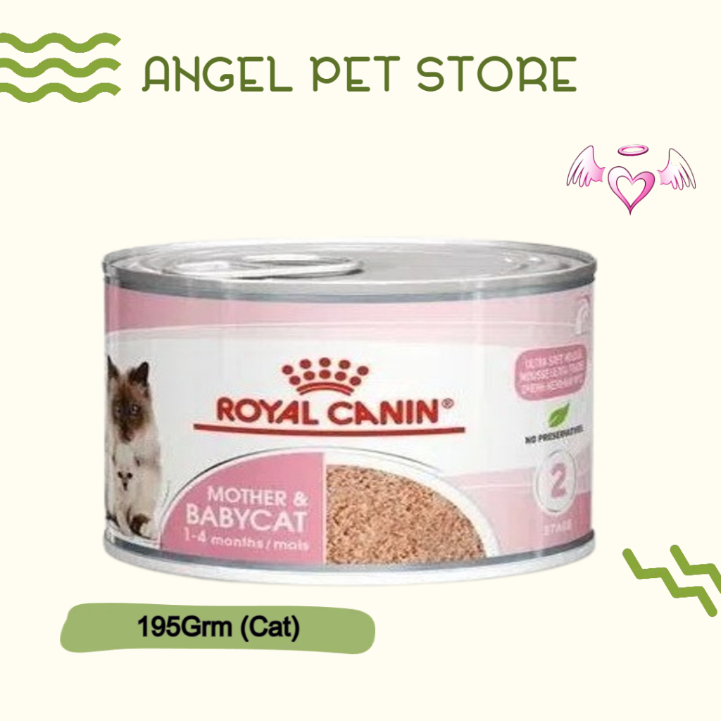 Royal canin baby cat clearance wet food