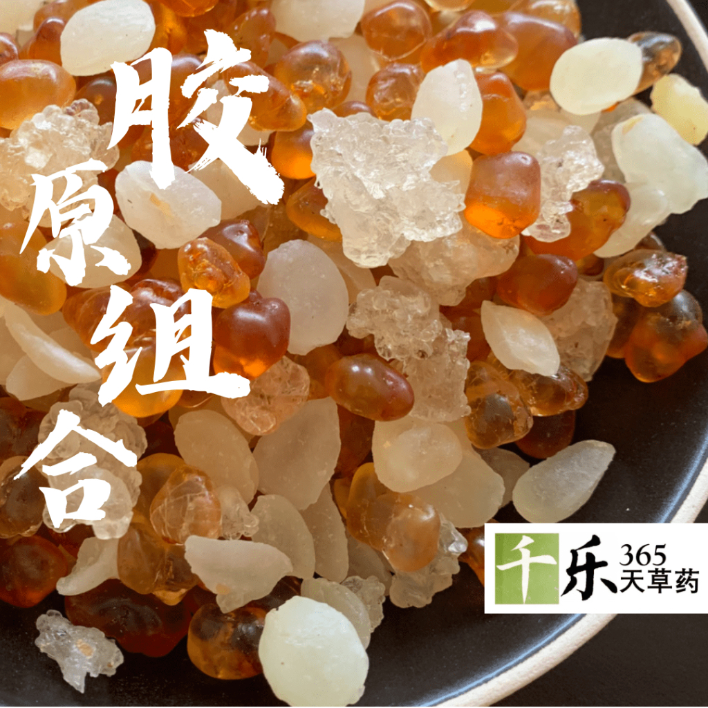 珍珠桃胶 雪燕 皂角米组合 养颜美容极品 (胶原组合) Perfect Collagen Dessert - Peach Gum + Gum ...