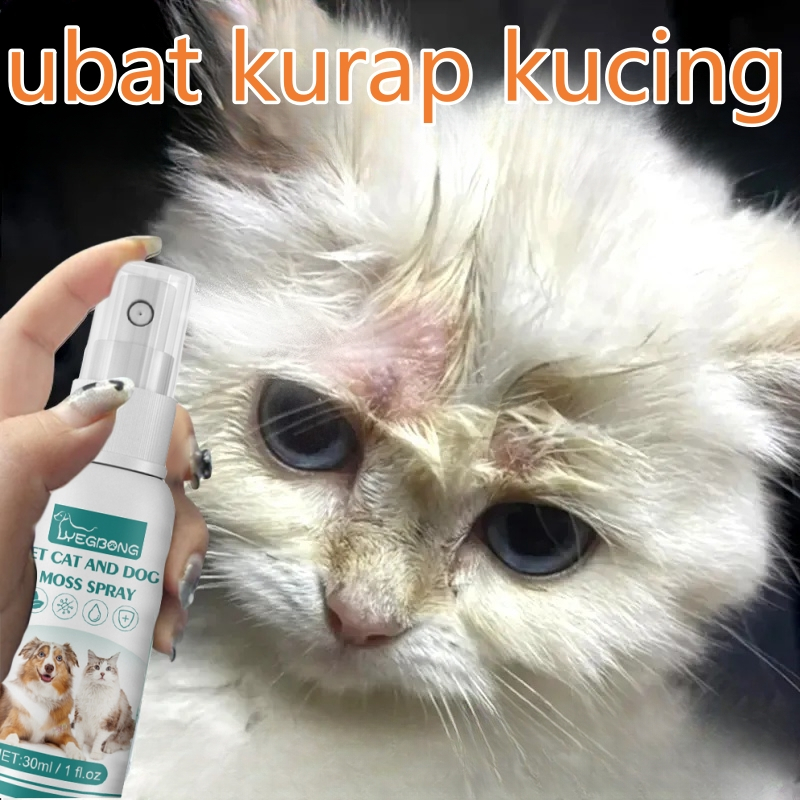 Ubat Kurap Kucing Paling Mujarab Spray Kurap Ubat Gatal Fungus Untuk