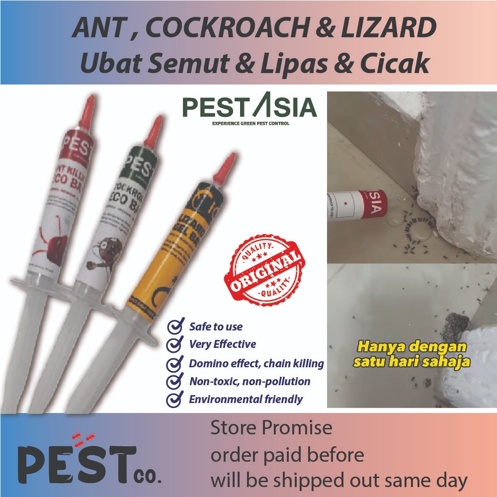 PEST Eco Friendly Ant, Cockroach, Lizard Baits Sangat Berkesan. Insect ...