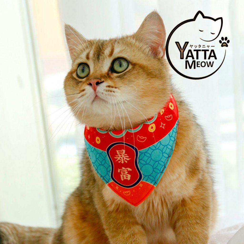 JINGLEBELL Chinese Fashion 24-30CM Cat/Dog/Pet Triangle Scarf