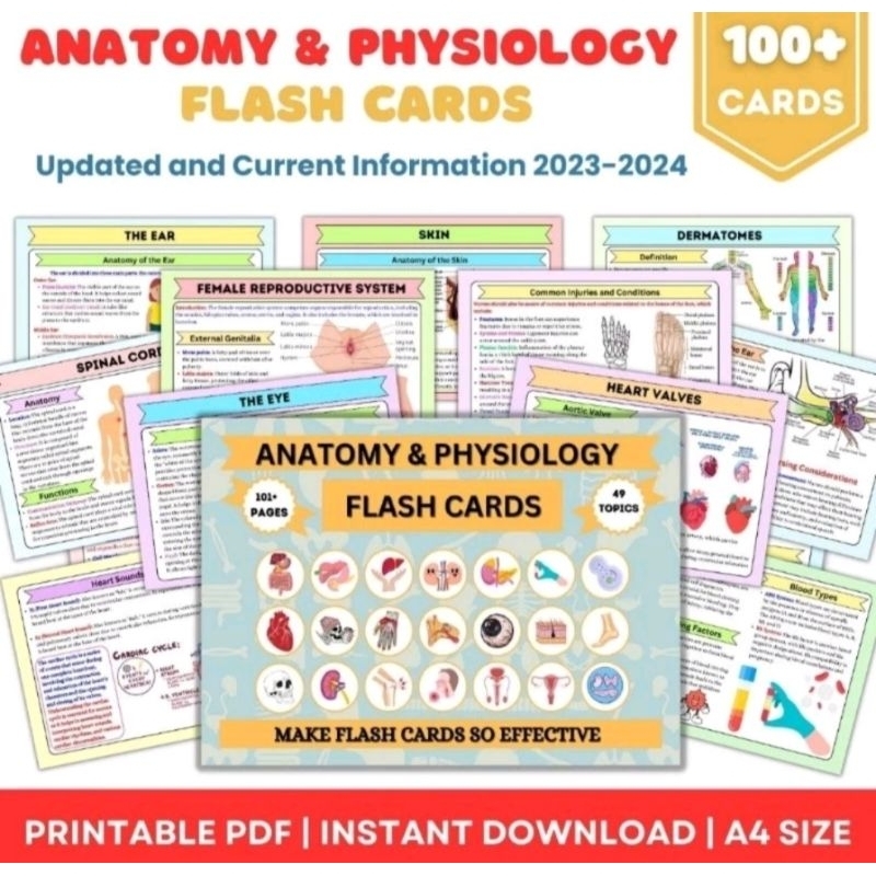 Anatomy and Physiology flash cards 101+ pages Shopee Malaysia
