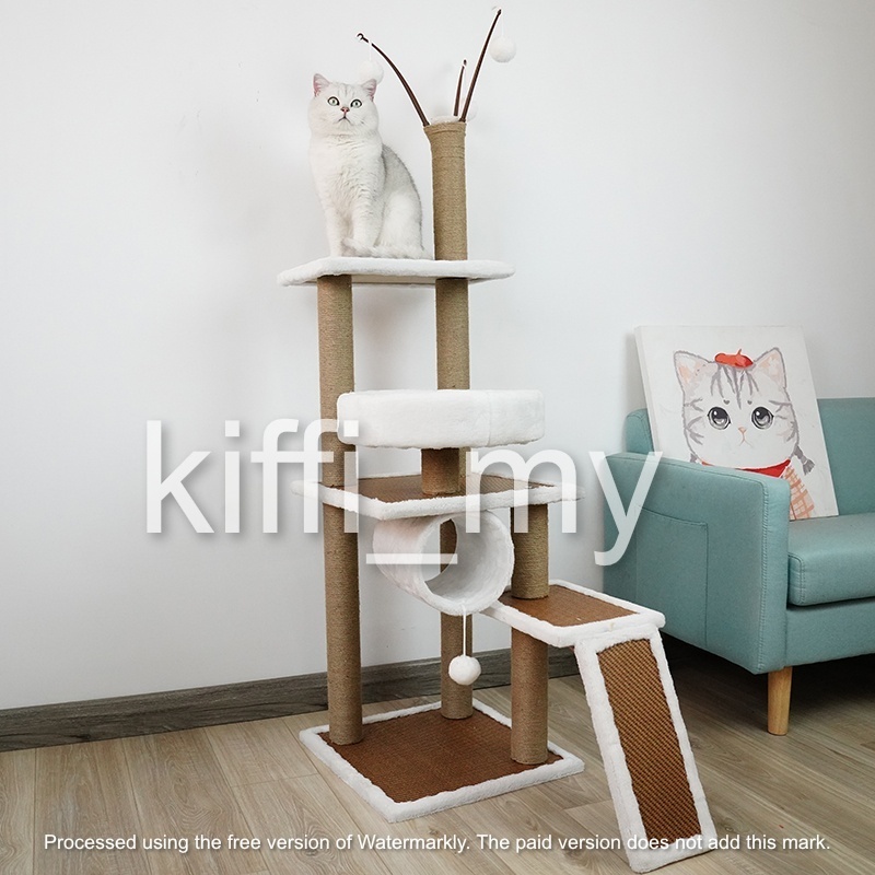 Indoor Cats Cat Tree Lazada Tall Cat Tree Indoor Climbing Activity