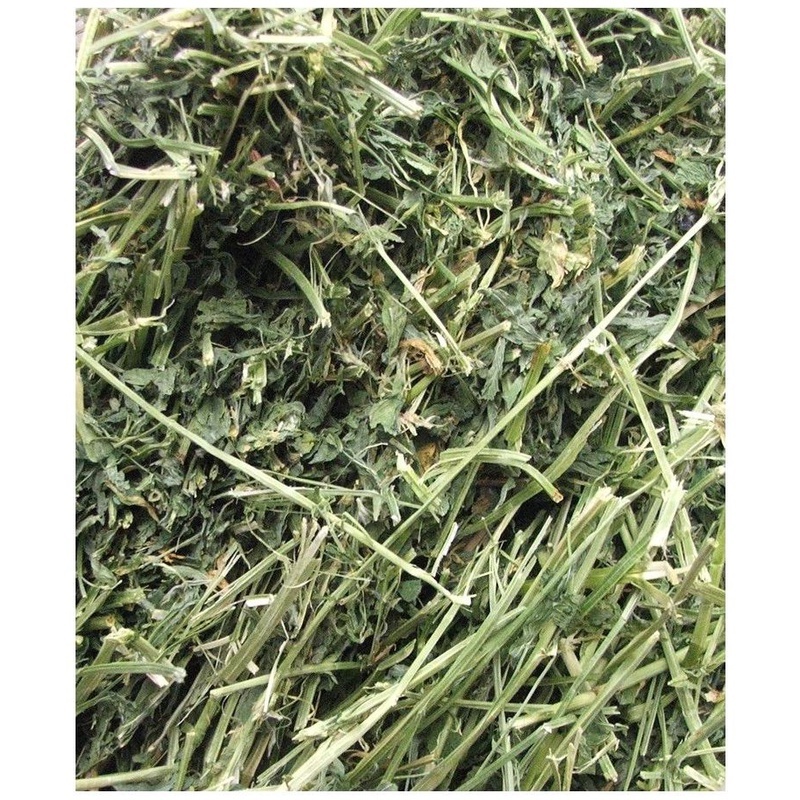 Alfalfa Hay 1Kg Jerami Alfalfa Feed For Guinea Pig Makanan Photo Inspiration
